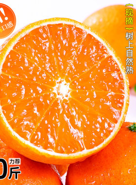 青见果冻橙新鲜橙子10斤水果当季整箱橘子四川大果桔子