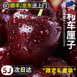 智利车厘子新鲜水果包邮5j5斤装礼盒进口孕妇大樱桃4j官方旗舰店