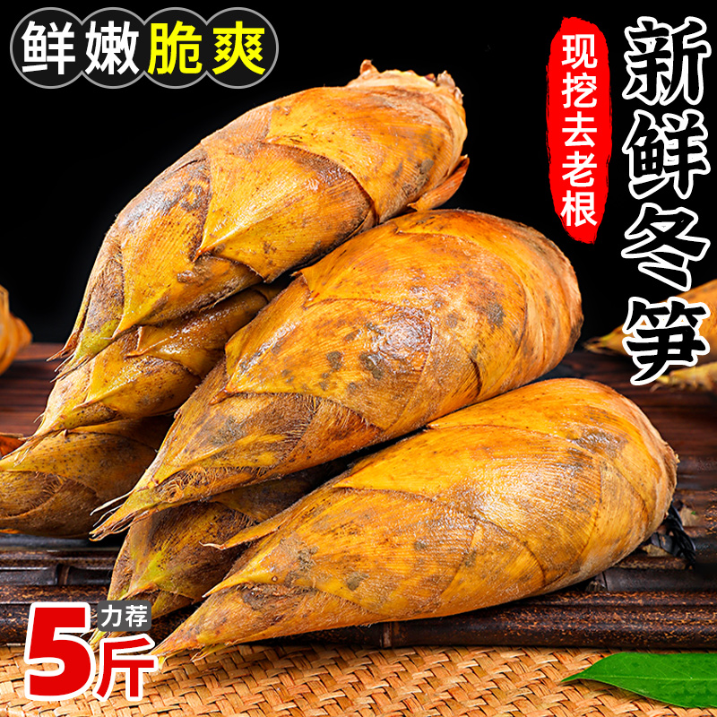 新鲜冬笋现挖竹笋5斤当季蔬菜苦笋雷笋腌笃鲜毛笋春甜笋整箱包邮5