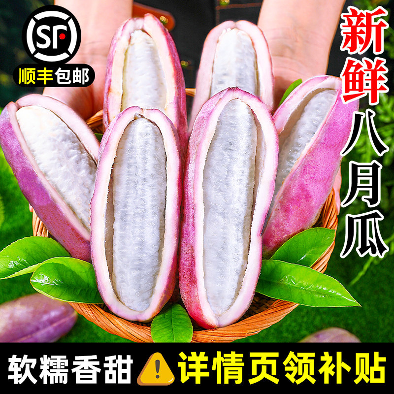 疯抢！现摘新鲜八月瓜顺丰速发