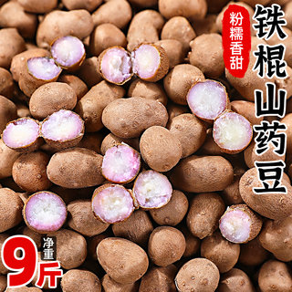 河北新鲜铁棍山药豆9斤当季现摘农家铁杆小山药现摘蔬菜整箱包邮