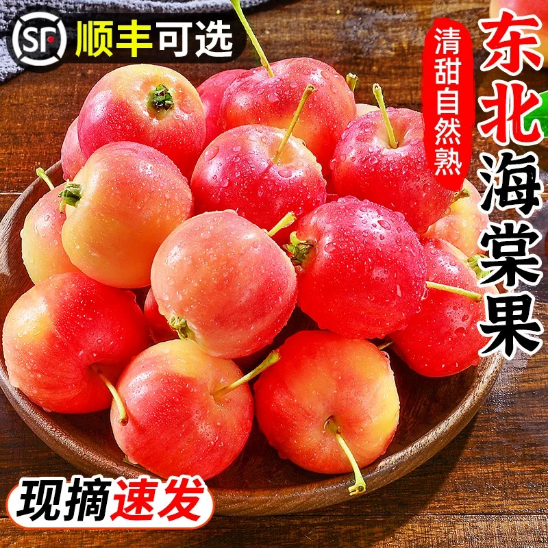 东北海棠果儿时美味~脆甜多汁图片