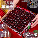 礼盒3j智利进口孕妇5j4j官方旗舰店 樱桃5斤装 车厘子新鲜水果 包邮