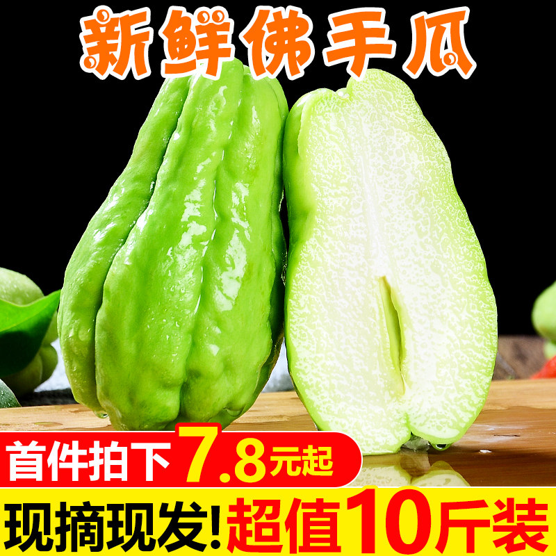 佛手瓜新鲜 价格 怎么样 图片