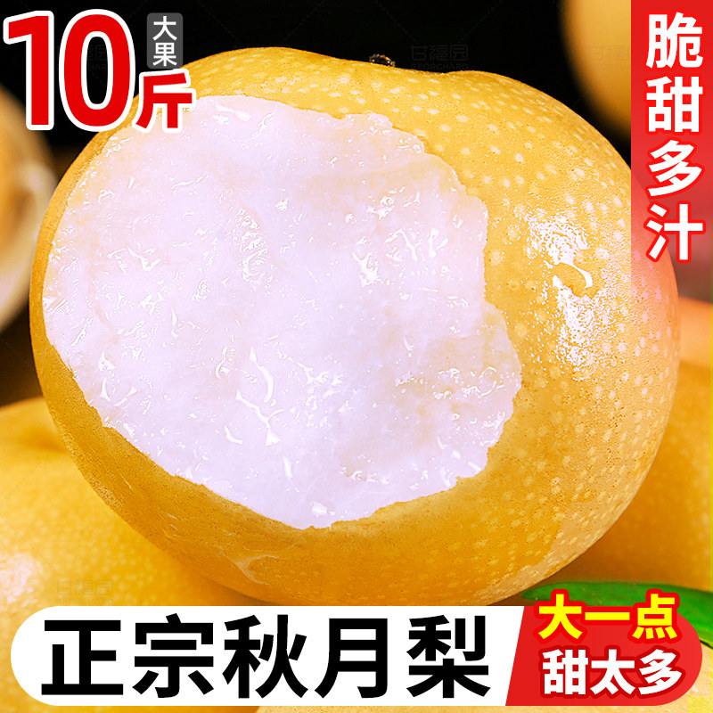正宗秋月梨山东莱阳新鲜梨子10斤当季水果现摘现发雪蜜梨整箱包邮属于什么档次？