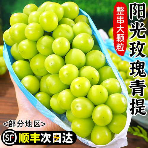 正宗阳光玫瑰青提|整串大颗粒
