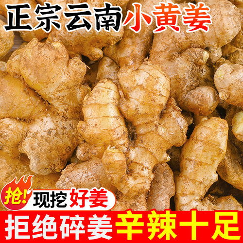 当季新货|云南小黄姜~产地现发