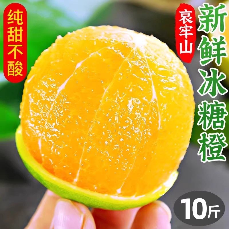 云南冰糖橙哀牢山产地直发青皮橙新鲜9斤大果当季整箱包邮果冻橙,水产肉类/新鲜蔬果/熟食,橙,淘宝优惠券,粉丝福利购,淘宝优惠卷