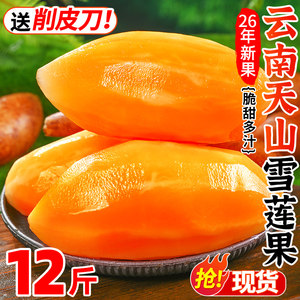 天山雪莲果12斤新鲜水果应当季云南孕妇红心雪连果黄心特整箱包邮