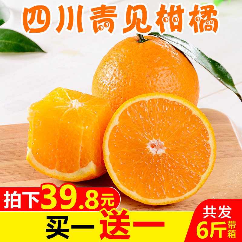 【买1送1】四川青见柑橘带箱6斤桔子 新鲜当季水果橘子整应季包邮|msdalam kategori daging perikanan/Buah-buahan segar dan sayur-sayuran/dimasak, buah-buahan segar, Oranges - dari Buy2taobao.com untuk memberikan perkhidmatan ejen Taobao profesional membeli