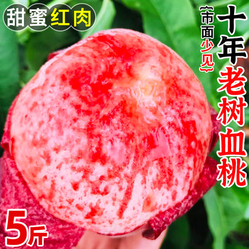 老树血桃！市面少见，爆甜好吃