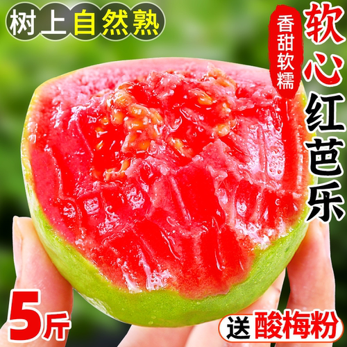 红心芭乐！贼糯贼甜1好吃不贵！