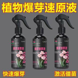 爆芽速原液多芽促芽催芽分化叶插花植物多肉绿植通用型营养液兰花