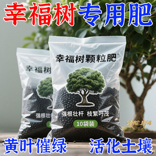 幸福树专用肥缓释肥生根壮苗防黄叶枯叶掉叶家用盆栽颗粒有机肥料