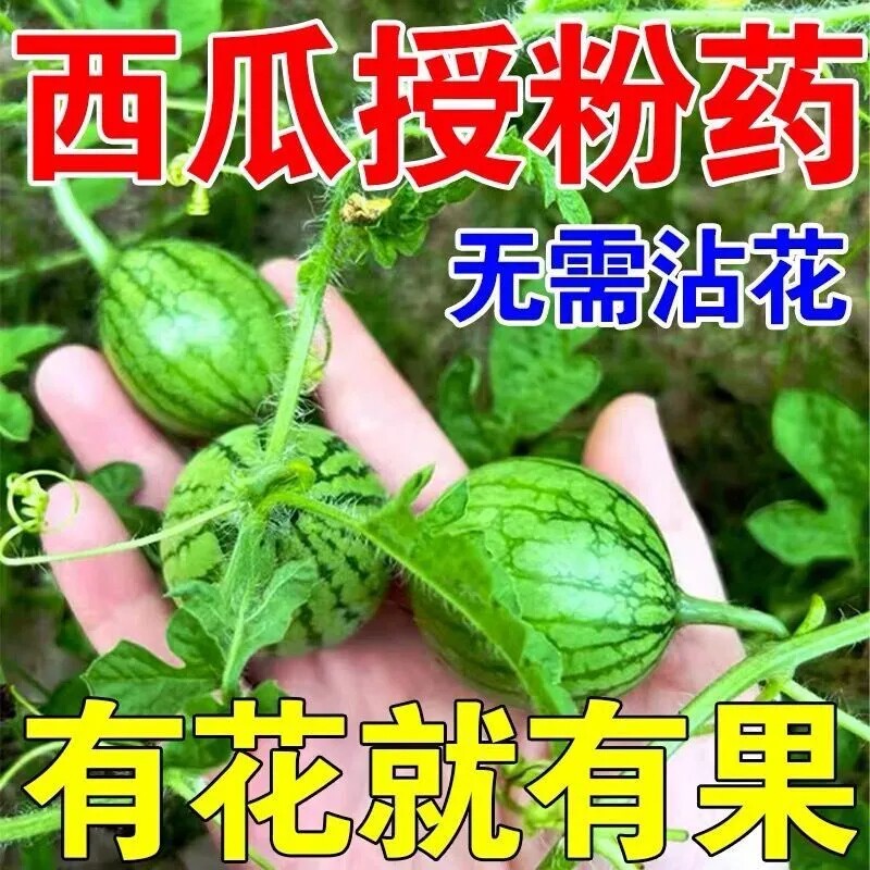 西瓜授粉专用肥料点花药免沾花授粉坐果精保花保果防落防畸叶面肥