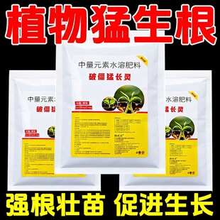 破僵猛涨灵水溶肥蔬菜壮根提苗防黄叶全菜适用农资强根壮苗植物肥