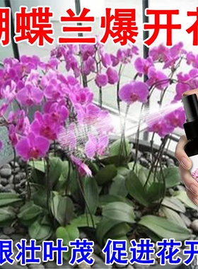 蝴蝶兰专用营养液免稀释直喷家用盆栽催促开花防黄叶其它园艺用品
