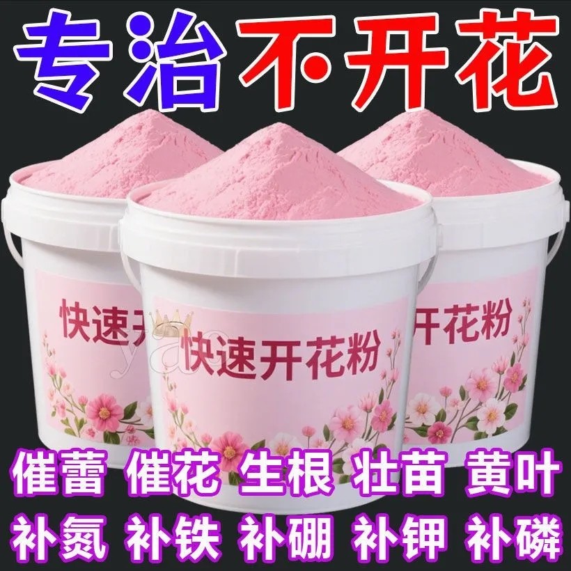 正品快速开花粉小包装玫瑰月季
