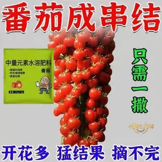 果多多番茄有机肥促花爆果提质