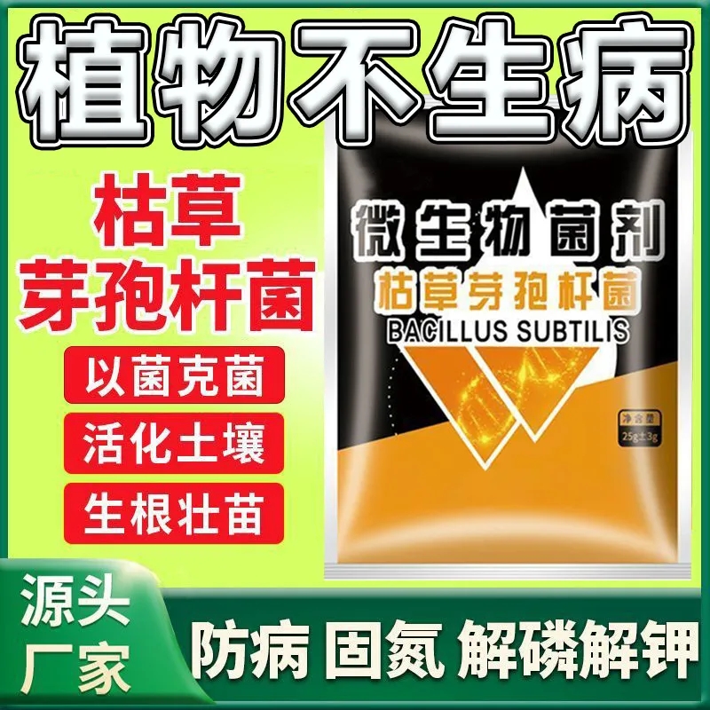 枯草芽孢杆菌枯萎病农用微生物青枯病生根灰霉病根腐病专用杀菌剂