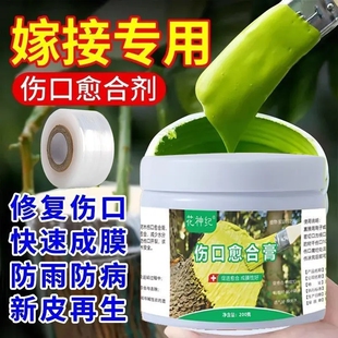 树木伤口愈合剂树干涂补剂盆景树皮涂膜剂果树嫁接切口修复涂抹剂
