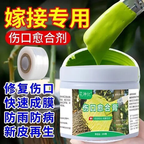 花神纪树皮伤口愈合涂膜剂