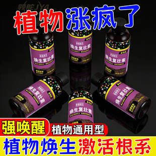 【4.9抢10瓶】焕生复壮素植物通用型激活根系强唤醒植物营养液肥