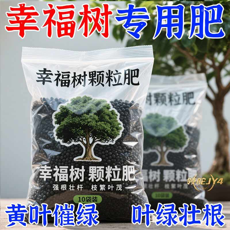 【不落叶】幸福树专用营养液