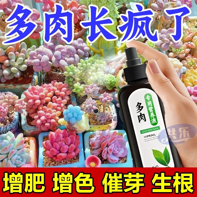 肉多多专用营养液多肉增色液促爆芽增肥多肉肥料生根肥料植物园艺