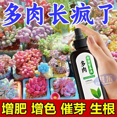 肉多多专用营养液多肉增色液