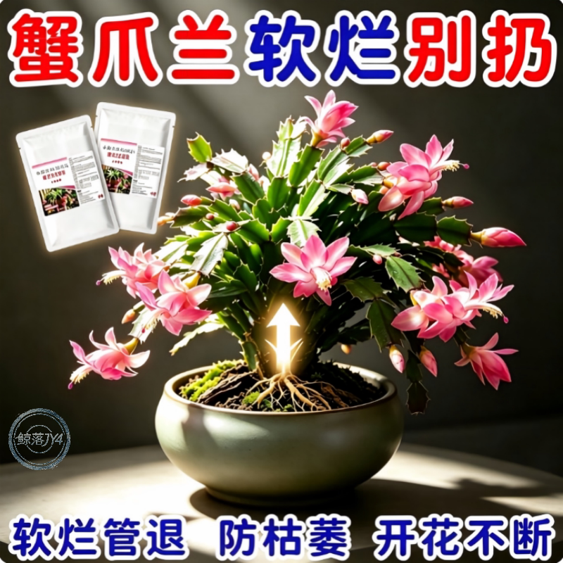 蟹爪兰专用镁肥防黄叶促花苞