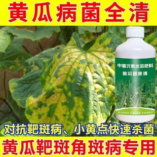 黄瓜专用病菌清黄瓜病害专用菌剂叶面肥喷施菌剂快速杀菌病菌全清