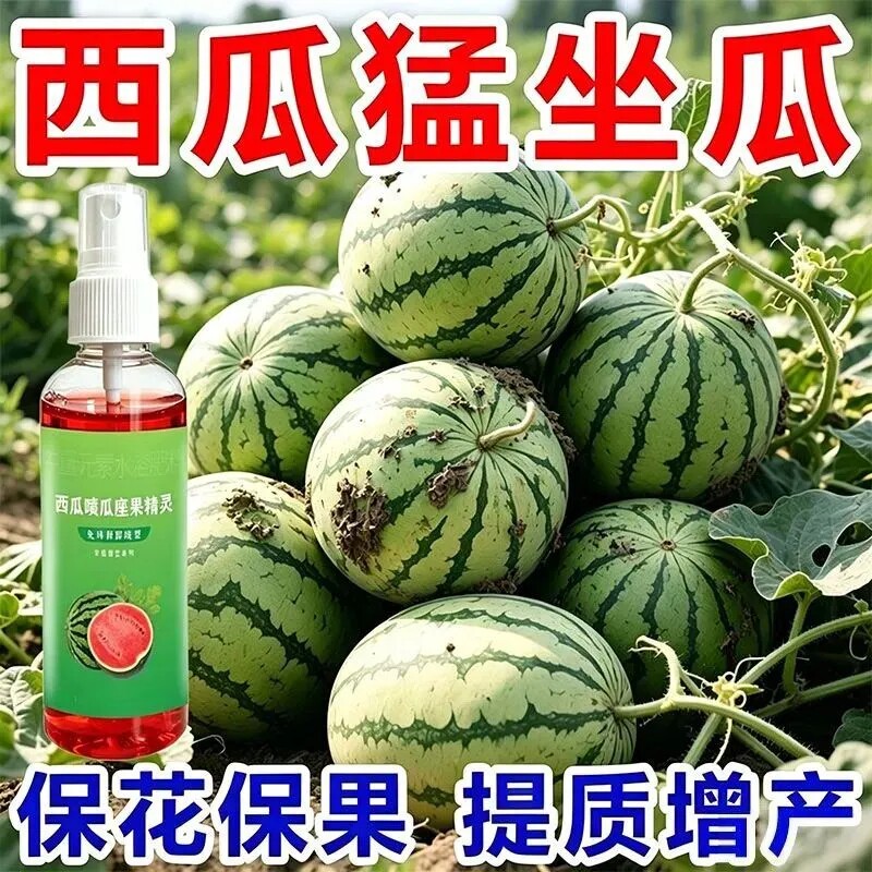 西瓜授粉坐果保花保果喷洒肥