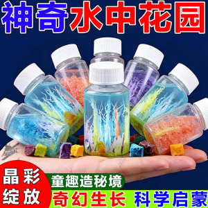 水中花园小学生科学实验生长石