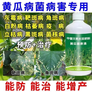 黄瓜专用病菌清黄瓜病害专用菌剂黄瓜靶斑专用叶面肥液体喷施瓶装