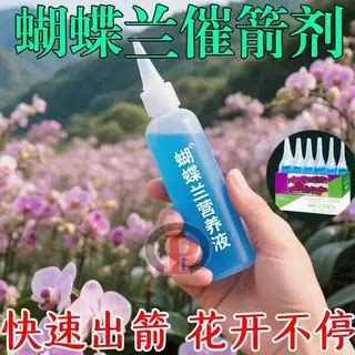 蝴蝶兰专用营养液快速出箭促花图片