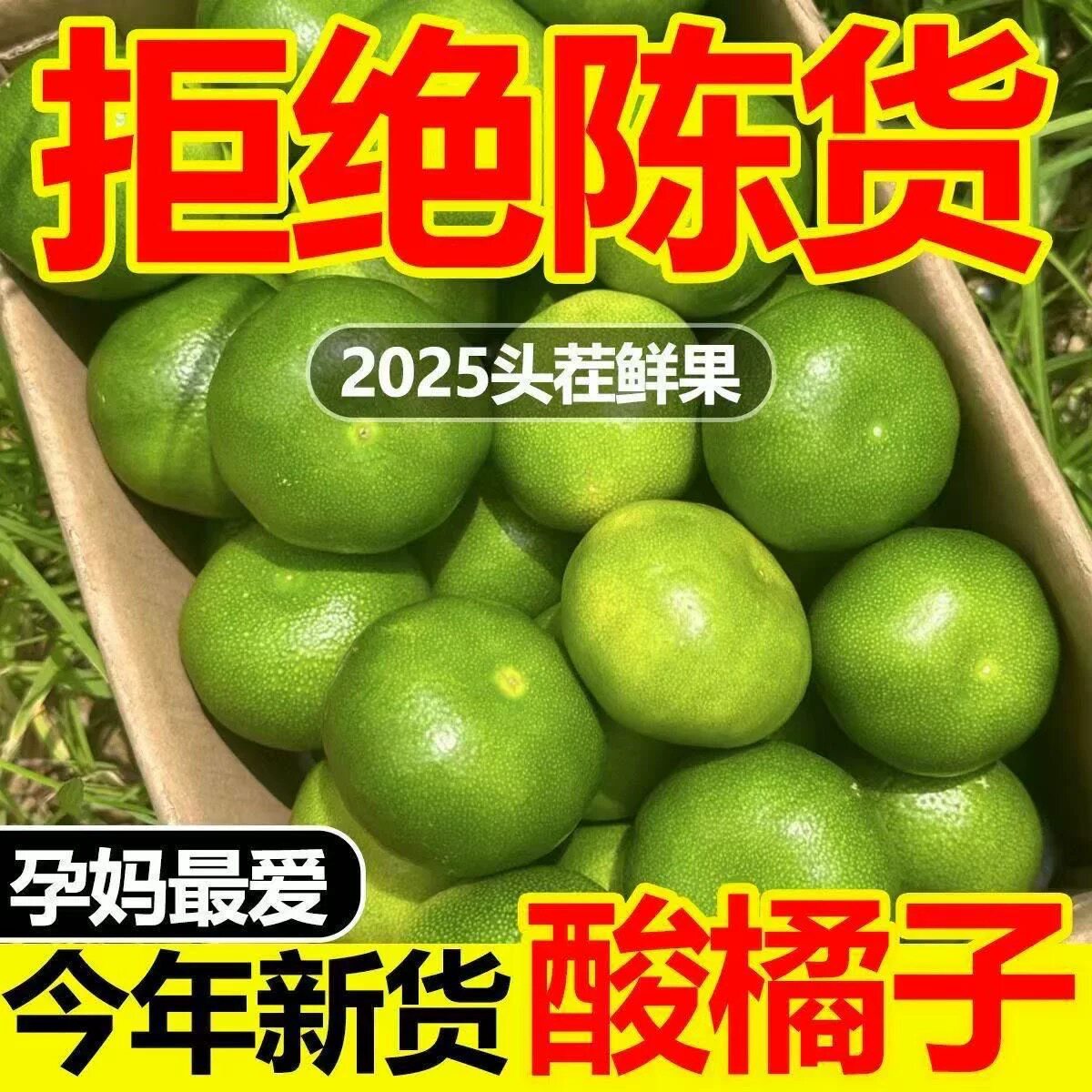 现摘四川薄皮蜜橘新鲜水果当季青桔子