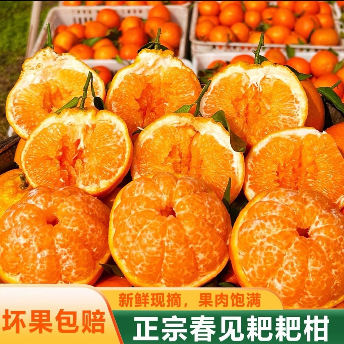 2026头茬果四川特级耙耙柑新鲜水果桔子丑柑杷杷橘子当季,水产肉类/新鲜蔬果/熟食,橙,淘宝优惠券,粉丝福利购,淘宝优惠卷