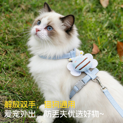 猫咪牵引绳防挣脱外出专用宠物兔子遛猫溜小猫链子猫绳子不勒脖