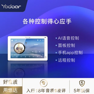 yodaar悠达B5PLUS客厅背景音乐系统主机套装 家庭影院吸顶音响