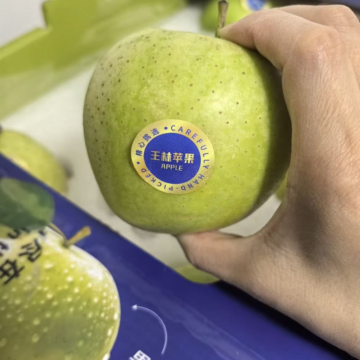 王林苹果日本青森系列水蜜桃