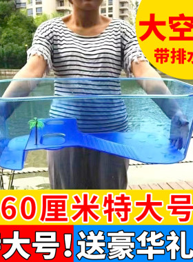 乌龟缸小型鱼跑来跑去