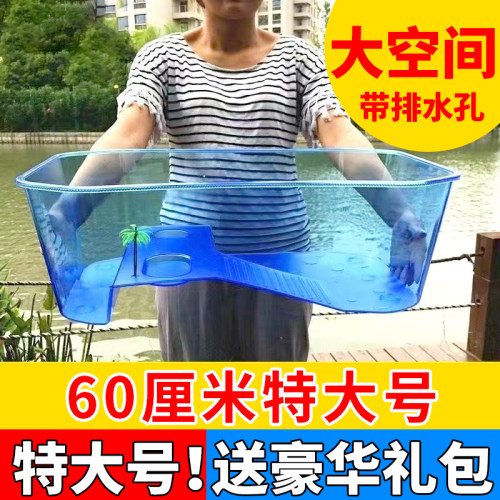 乌龟缸小型鱼跑来跑去