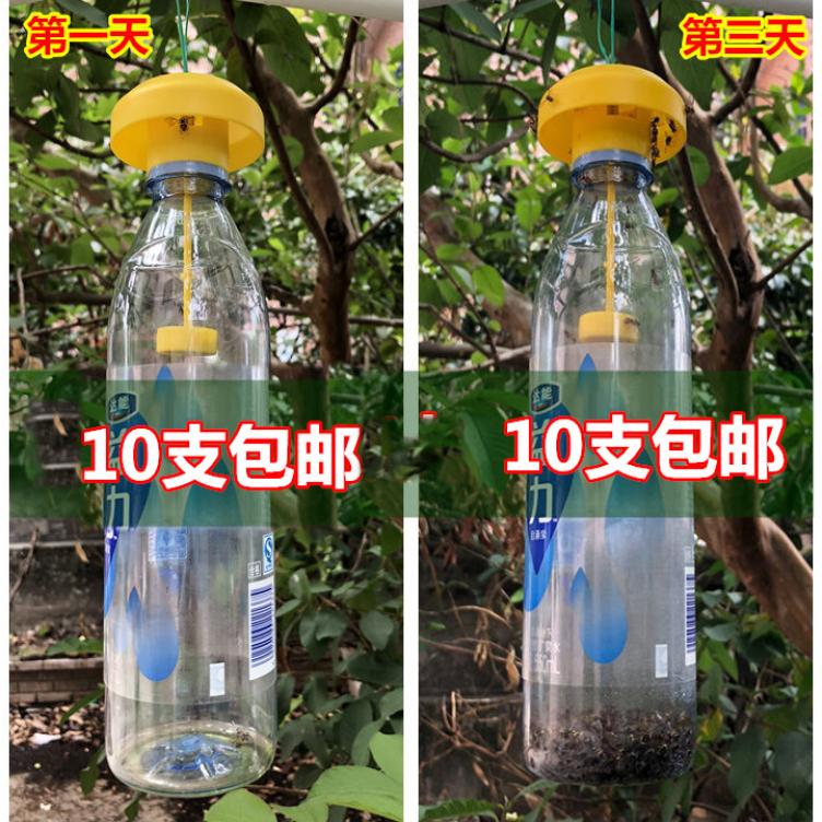 超强害虫捕抓器丝瓜诱蝇瓶菜地果蝇诱捕器香果诱虫器高效果场灭蚊|msdalam kategori penghantaran bunga/bunga simulasi/tumbuhan berkebun, Gardening Supplies, Peralatan Perkebunan lain - dari Buy2taobao.com untuk memberikan perkhidmatan ejen Taobao profesional membeli