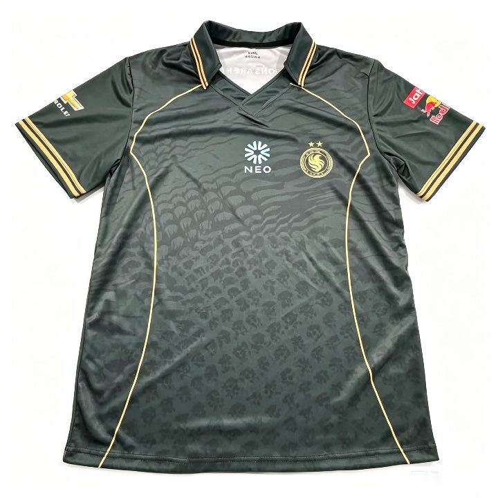 Team Falcons26队T恤