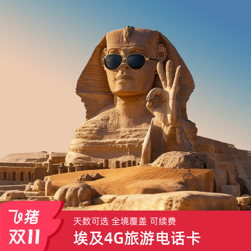 埃及电话卡4G上网SIM卡