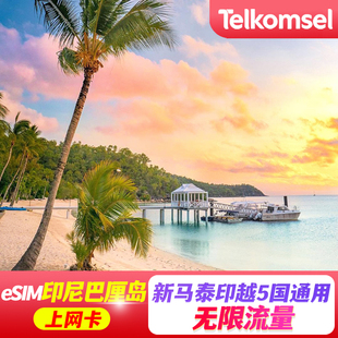 新加坡 泰国 印尼巴厘岛 马来esim电话卡无限高速流量卡 eSIM