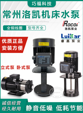 LuiKar睿嘉Rocoi洛凯LDPB1-2H-4V-15-18-20-22-40-TP数控机床水泵