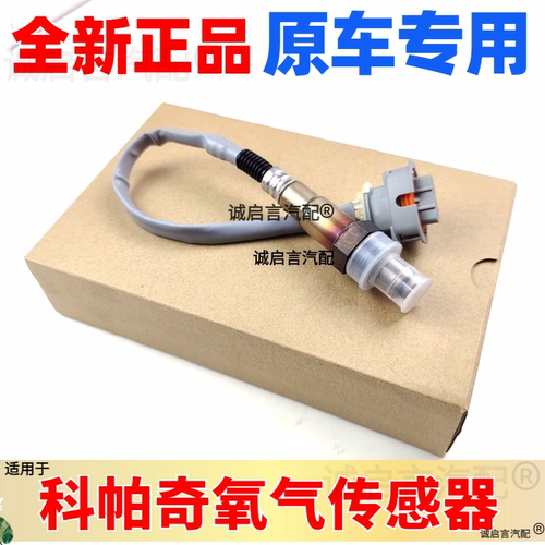 科帕奇安德拉氧传感器