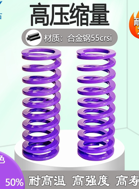 模具弹簧进口合金钢紫色J-TY耐高温高强度扁弹簧模具配件矩形弹簧